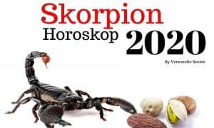 Skorpion Horoskop 2020 - Skorpion 2020 Horoskop Jahresvorhersagen