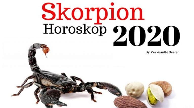 Skorpion sternzeichen-Skorpion horoskop 2020-Skorpion horoskop